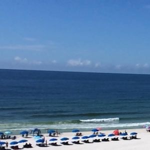 Meet your Posher, Rhonda